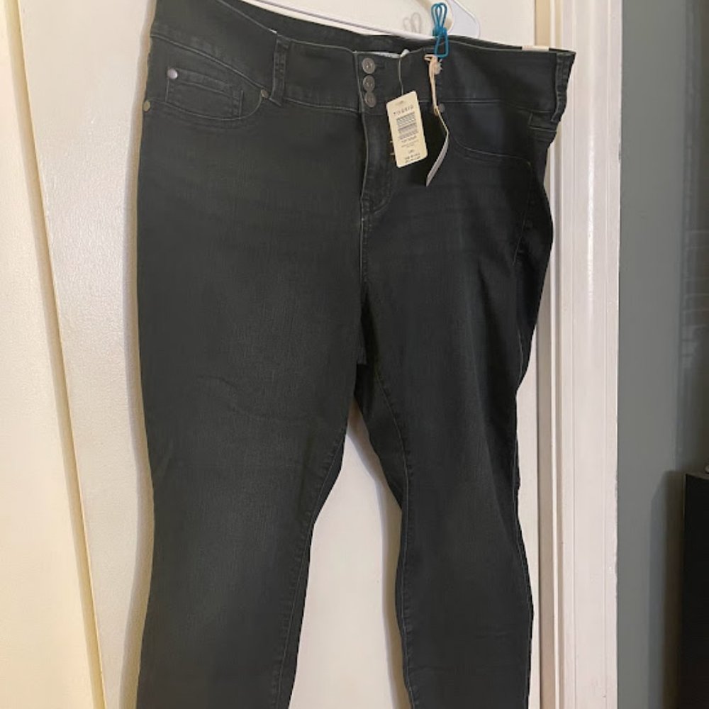 20S Torrid Dark Wash Jeggings